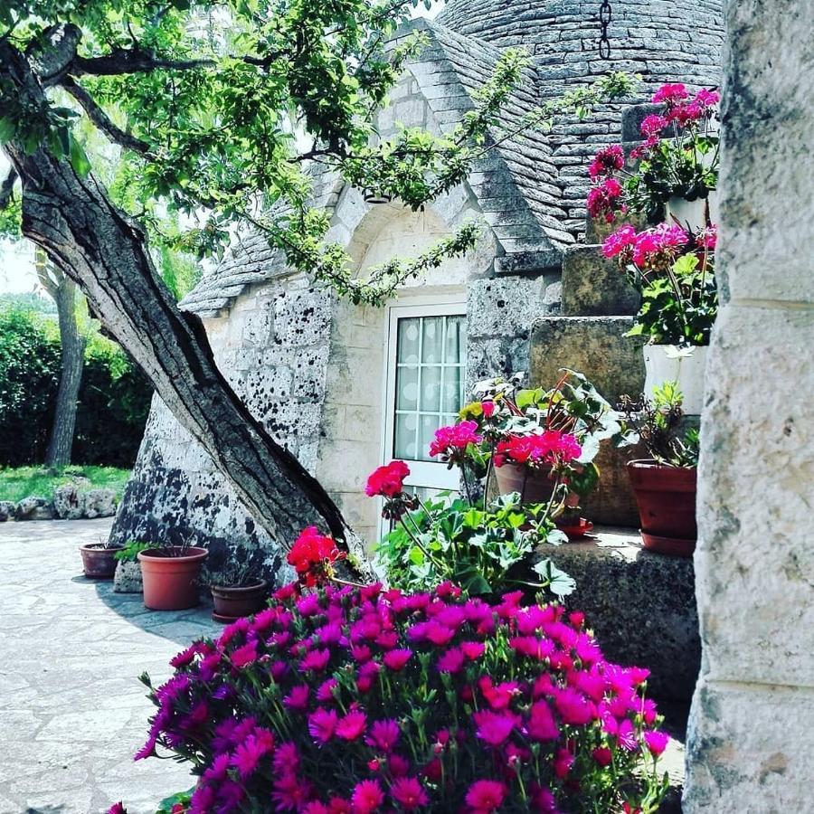 로코로톤도 Trulli Francesca Ciclovia 빌라 외부 사진