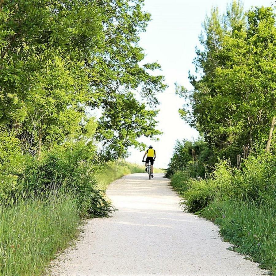 로코로톤도 Trulli Francesca Ciclovia 빌라 외부 사진